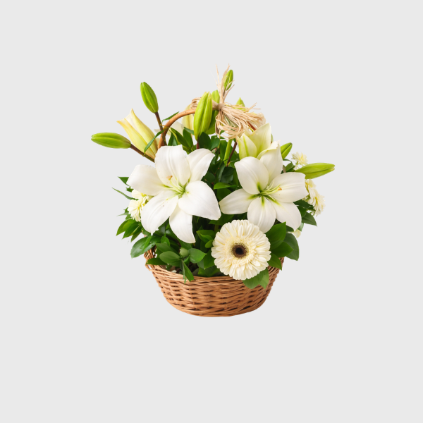 Cesta Branca Elegance